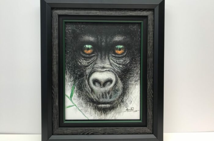 Gorilla Canvas with 3 frames